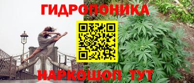 PSILOCYBIN Кингисепп