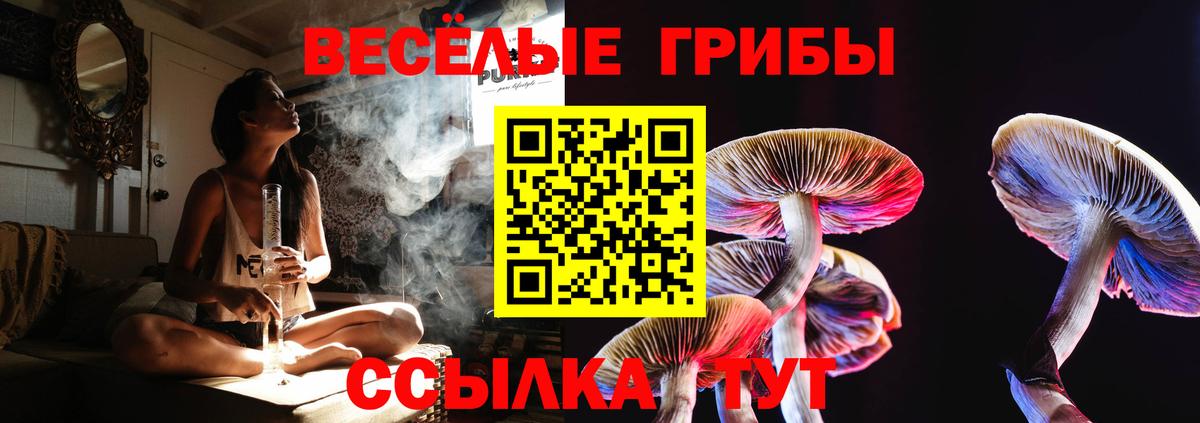 Кострома  Галлюциногенные грибы Psilocybine cubensis  Вход с VPN 